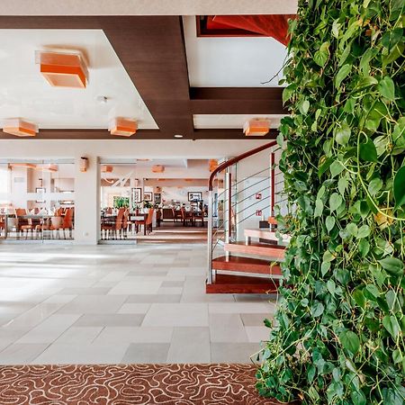Hotel Amazonka Conference And Spa Ciechocinek Ngoại thất bức ảnh